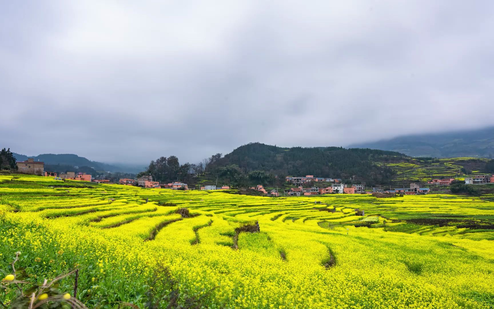 六盤水市盤州新民鎮萬畝奮斗花田