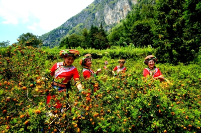 &ldquo;富礦精開&rdquo;強優勢--六盤水奮力在新時代西部大開發上闖新路