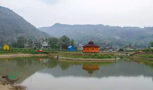 六盤(pán)水首家玫瑰主題莊園 法墨玫瑰莊園