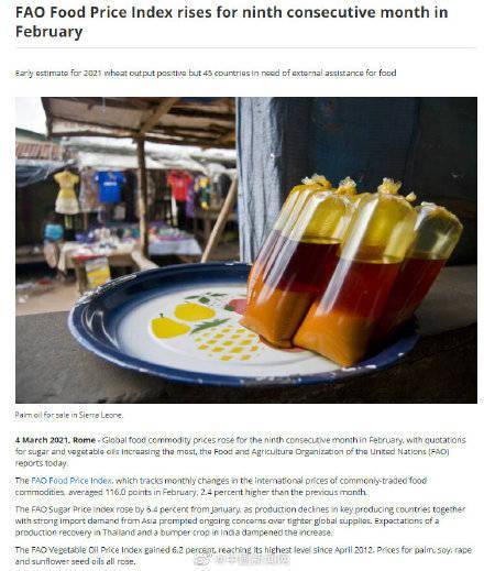 全球食品價(jià)格連續(xù)9個(gè)月上漲,中國(guó)人均糧食占有量在474公斤