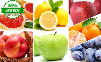 供應 寧波食品進口報關貿易代理