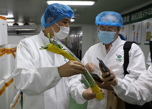 福建省市場監(jiān)管媒體開放日走進(jìn)永輝彩食鮮 中央工廠打造全鏈條食品安全