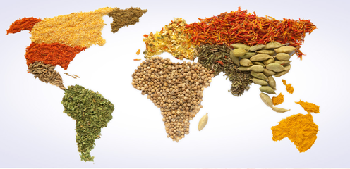 愛普股份2023年業(yè)績分析 營收近28億元，食品配料業(yè)務(wù)貢獻(xiàn)超七成收入